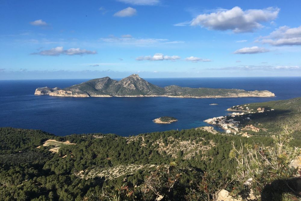 El Govern limita a 10 nudos la velocidad en la Reserva de Sa Dragonera