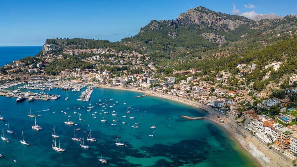 Una pelea de  gallos que  desconcierta  al sector