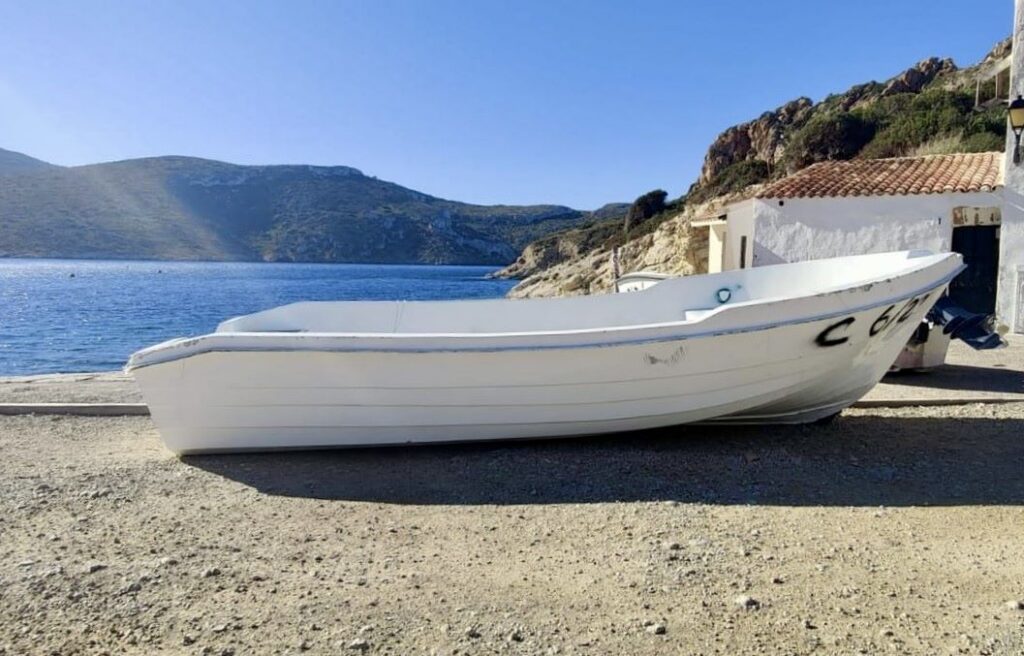 El Consell insiste en la necesidad de Frontex para frenar la llegada de pateras