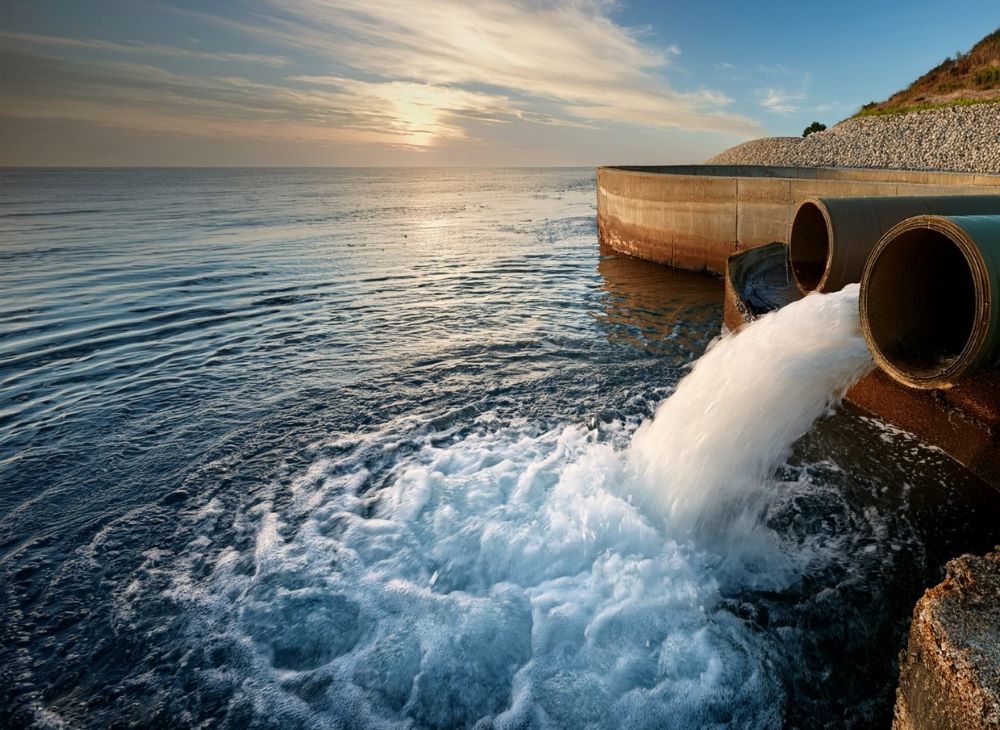 Esperanza por un medio ambiente completo