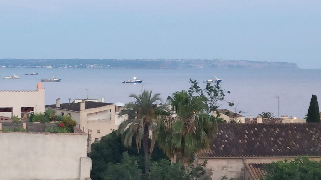 Barcos italianos al acecho del atún rojo en la Bahía de Palma