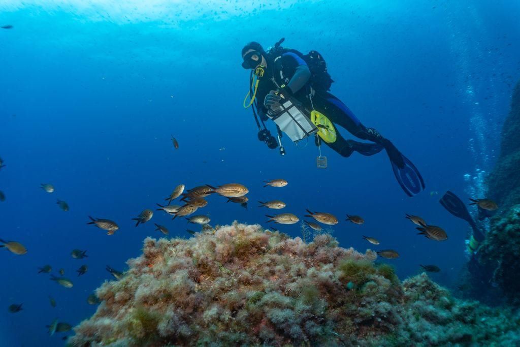 La reserva marina de los Freus se unirá con la de la Punta de Sa Creu