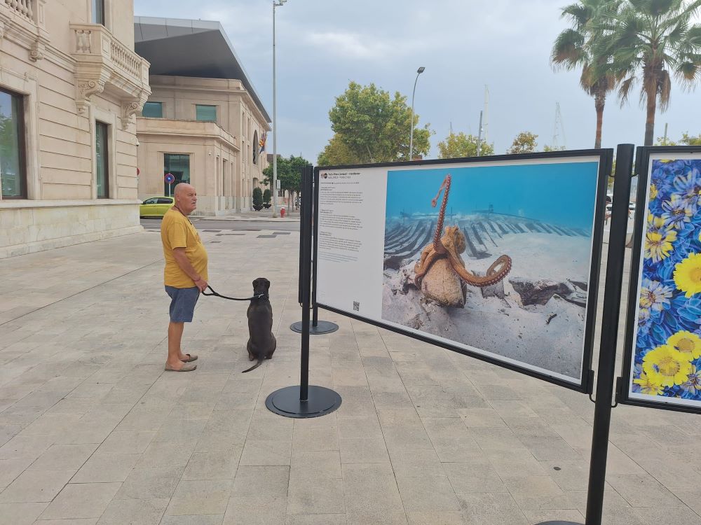 32 imágenes para mostrar la belleza y fragilidad del mar Balear