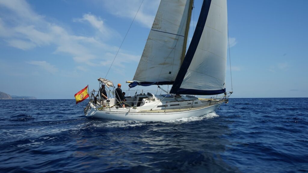 Exito de participación en la Regata Mare de Déu d’Agost