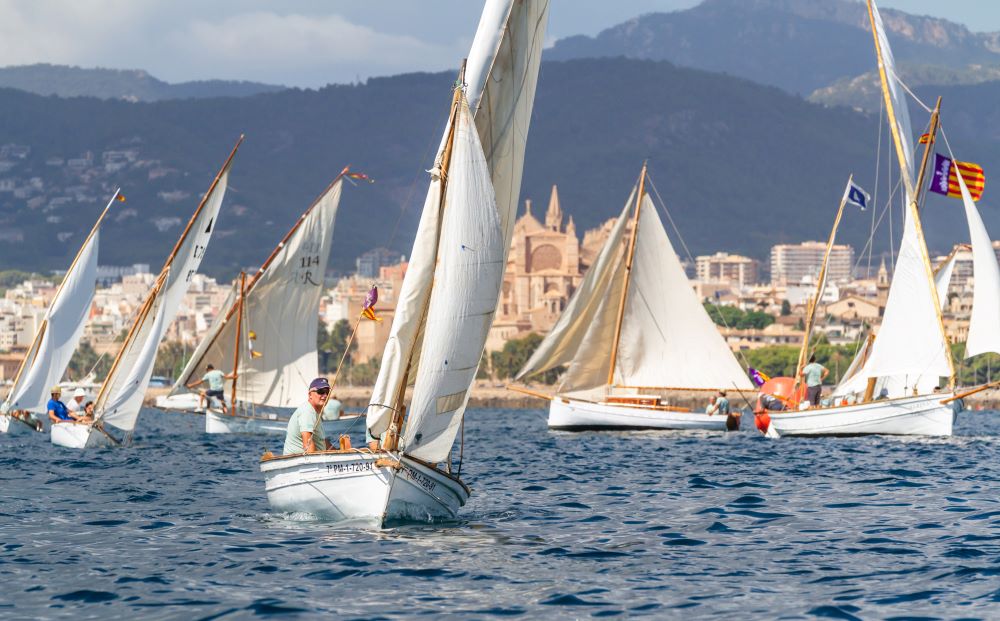La cultura marítima tradicional tiene su epicentro en la Diada de Vela Llatina de Mallorca
