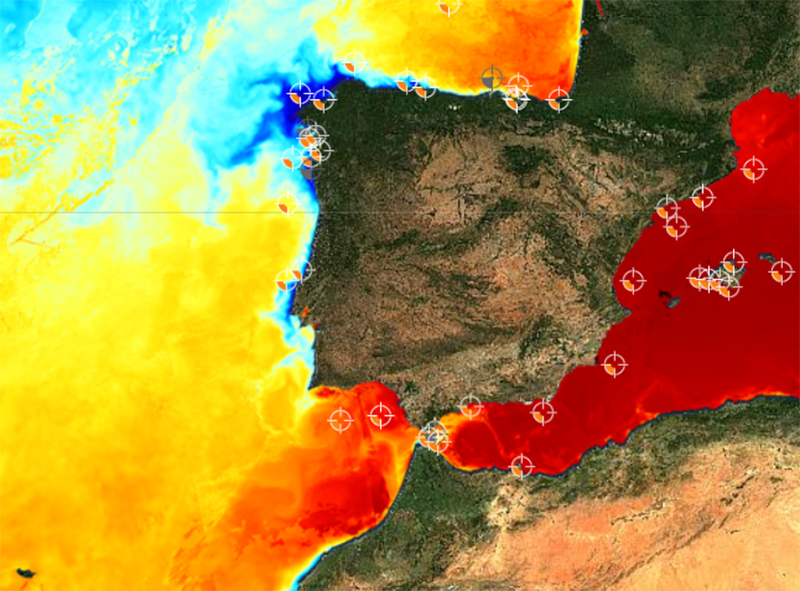 Un estudio analiza cómo detectar las olas de calor marinas
