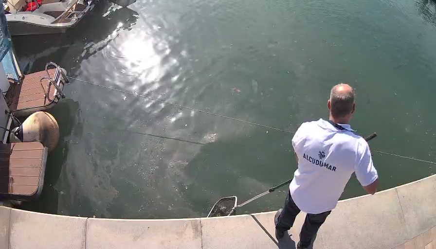 Port Water Control, una evolución en la lucha contra los vertidos