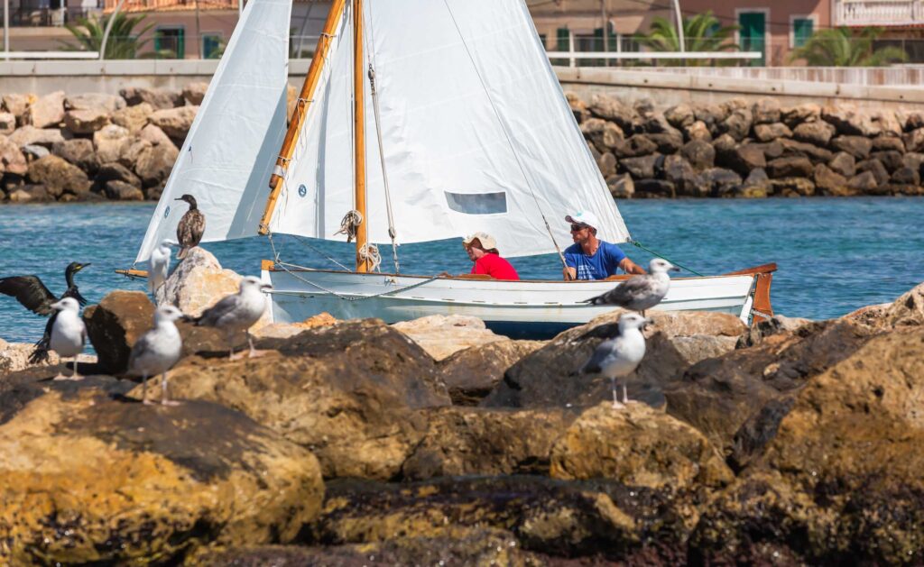 La Diada de Vela Llatina de Cala Gamba corona a sus ganadores