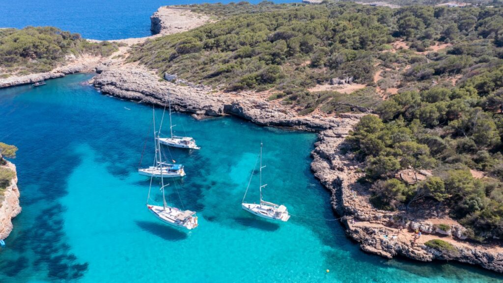 AECIB: el valor del trabajo y la unidad en la náutica balear