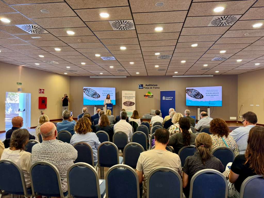 Cómo abordar la extracción del pecio de Ses Fontanelles