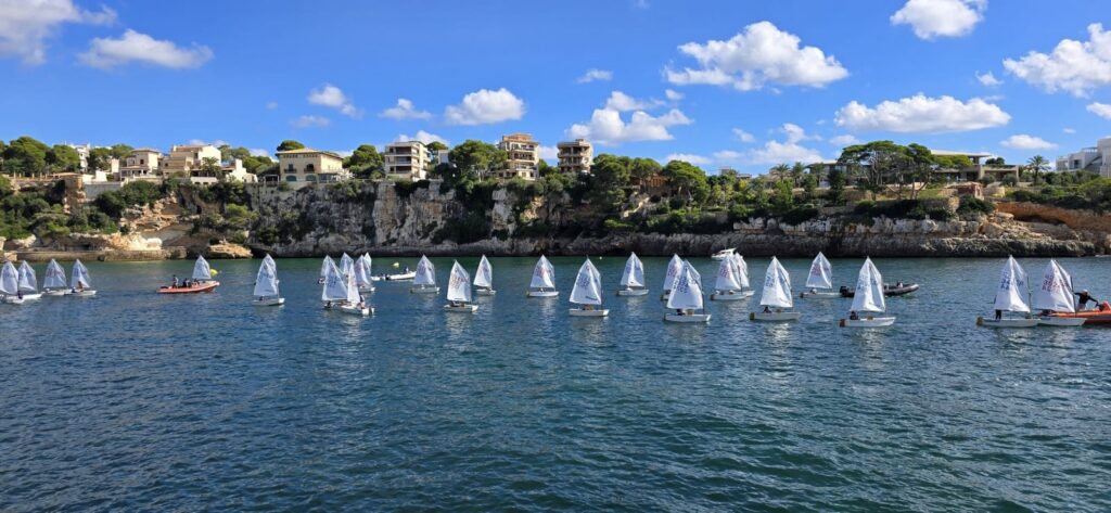 Los «optimistas» toman las aguas de Porto Cristo