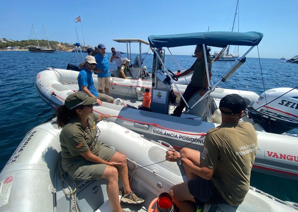 Las multas por fondear sobre posidonia se mantienen estables