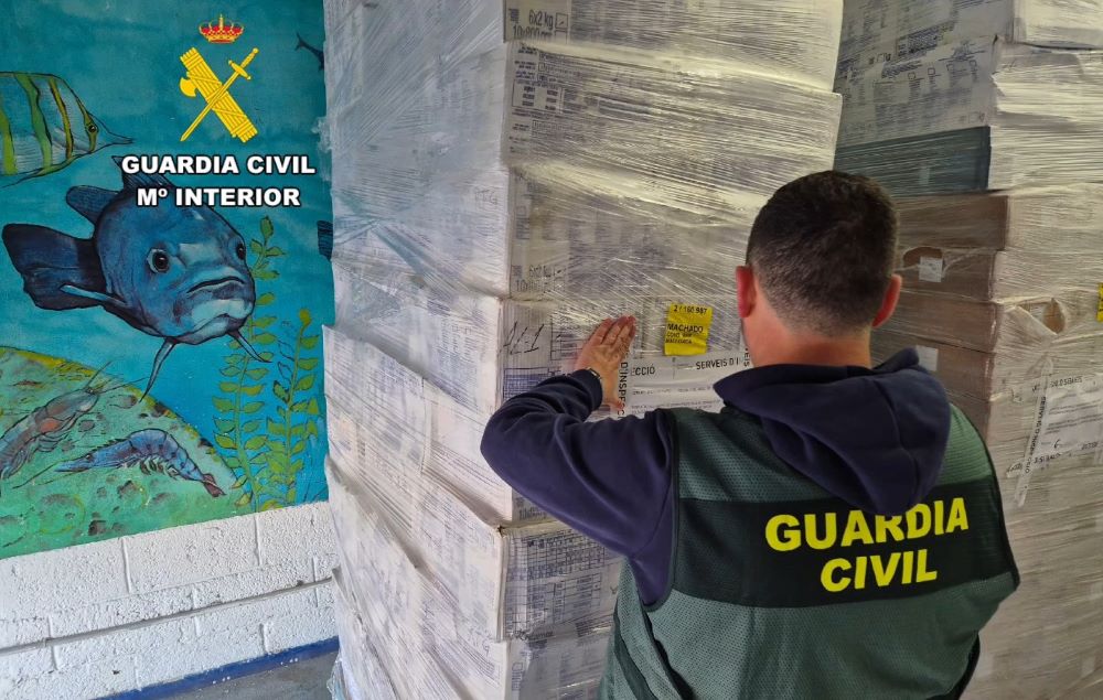 Intervienen 20 toneladas de pescado y marisco no aptos para el consumo