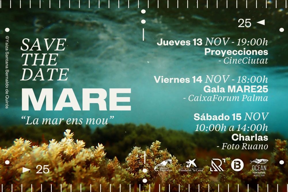 “El mar nos mueve”, un encuentro que inspira a la conservación