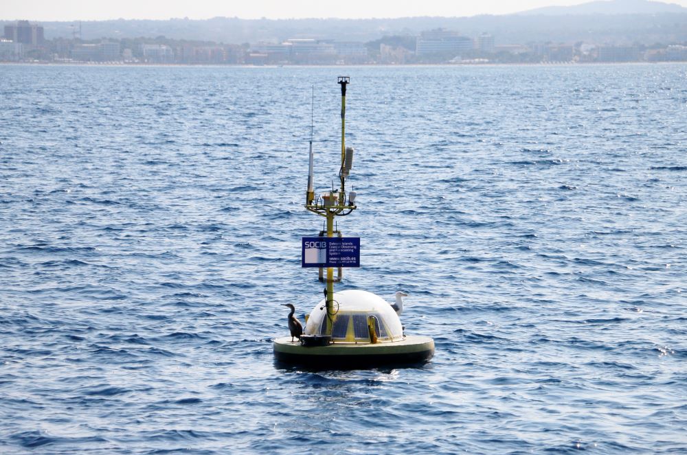 2025 fue el año con la temperatura del mar más cálida en Baleares