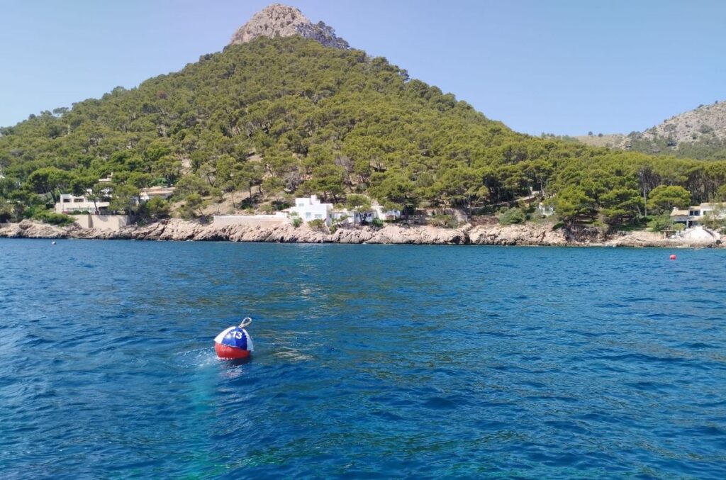 Pulso de los navegantes a PortsIB por los campos de fondeo
