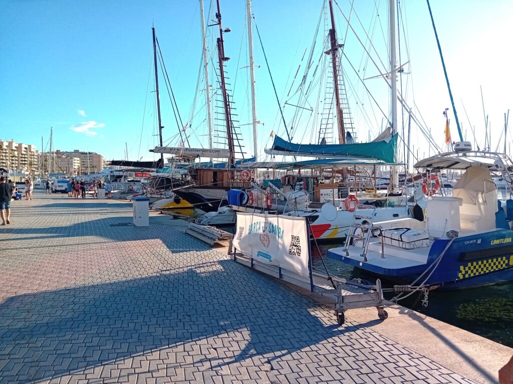 El TSJIB admite a trámite un recurso de APEAM contra el concurso del Muelle de las Golondrinas