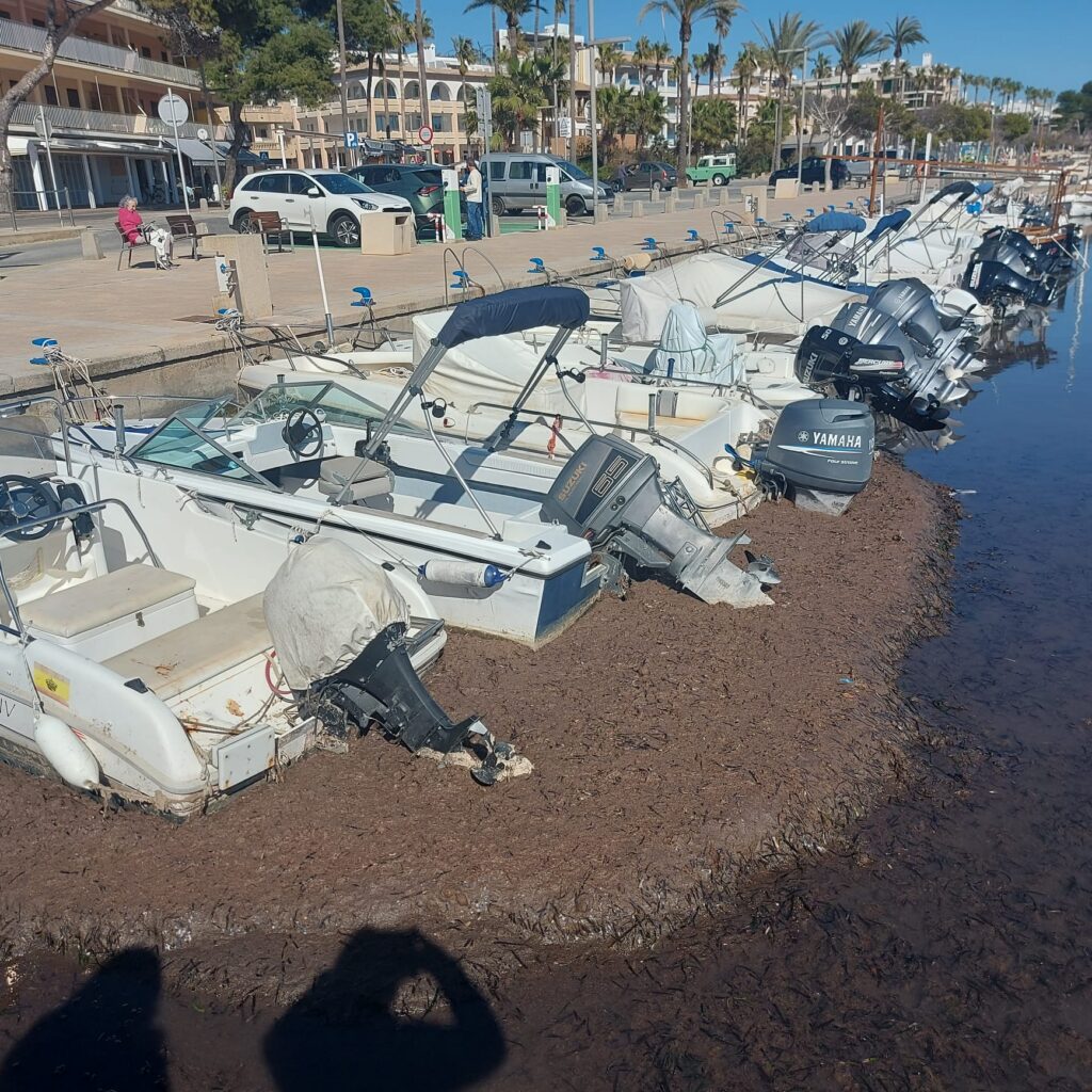 Unos por otros y los puertos sin dragar