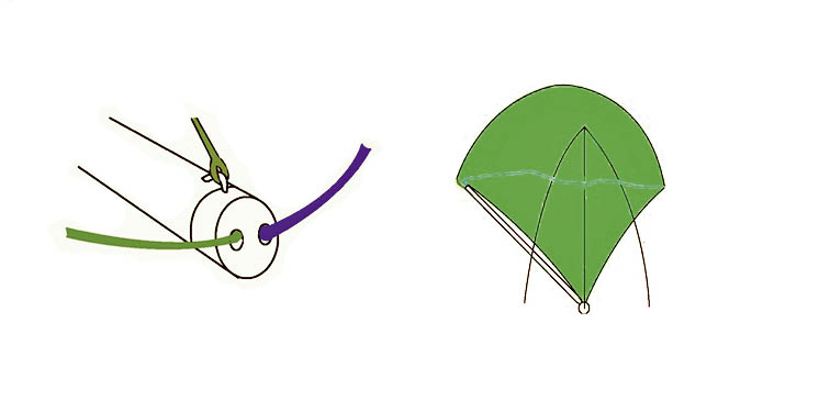 Tangón trompa de elefante